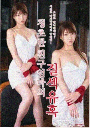 北部无声剧集封面